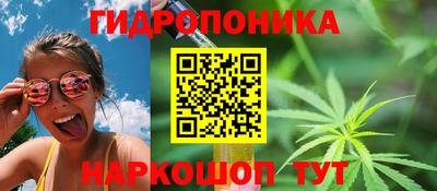 эйфоретик Будённовск