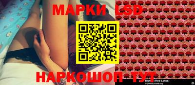 эйфоретик Будённовск