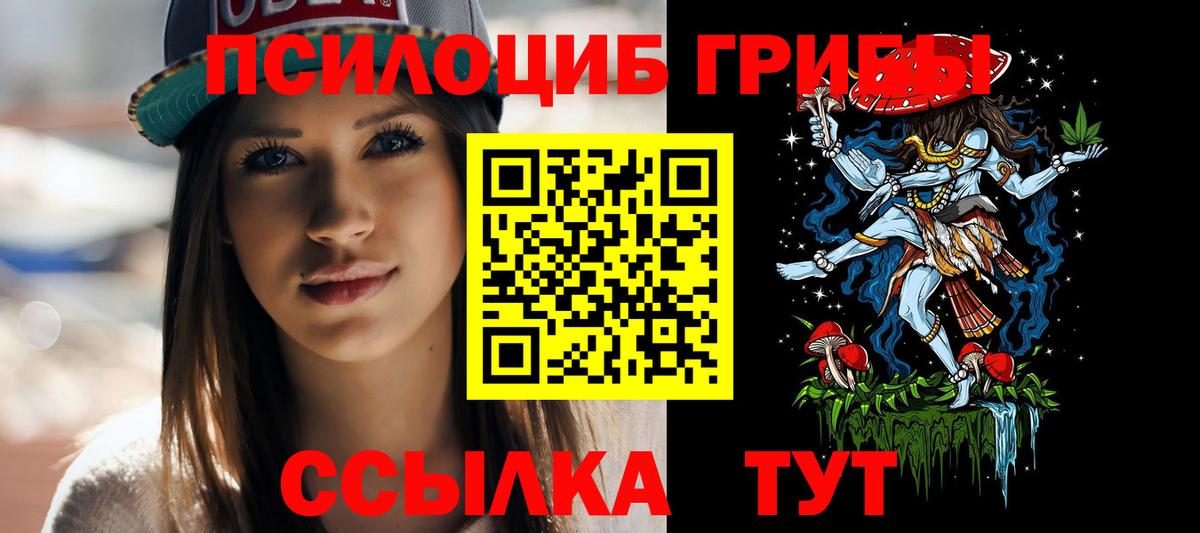 Галлюциногенные грибы мицелий  Вход с VPN  Галлюциногенные грибы мицелий  Прокопьевск 